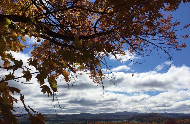 Vistas a la montaña - pequeño rancho pacífico en 5 acres