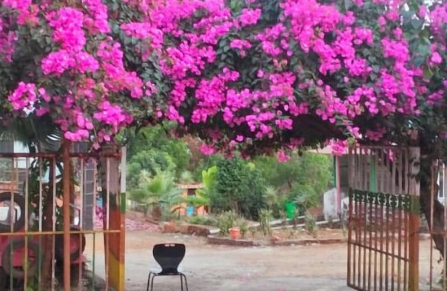 Murlee Pure Veg Resort