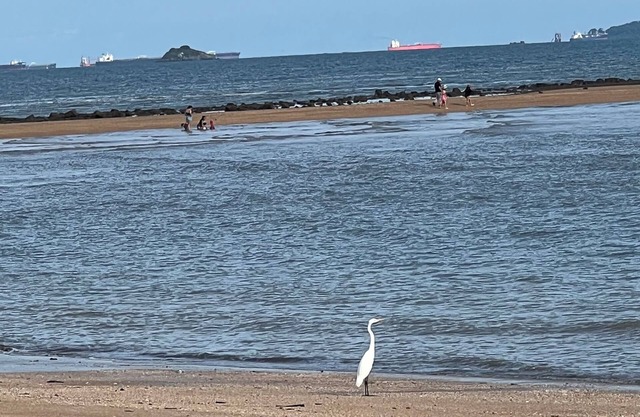 MYM Splendor - Charming 2-bedroom apartment with AC, WiFi in lovely Veracruz