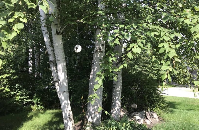 Nanny's Place - Casa de verano en el corazón del histórico pueblo de Bayfield