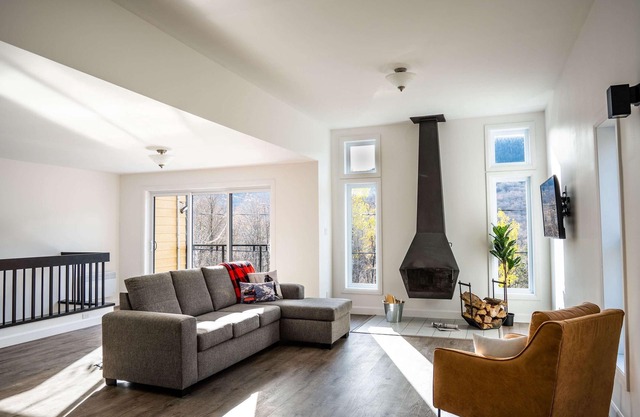 Le Dumont - A Summary