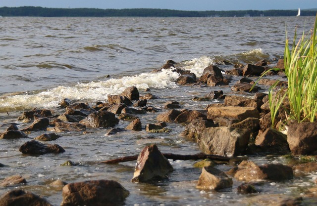 Parque Natural de Steinhude, vela, surf, ciclismo Paseos