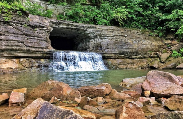 Nature's Great Escape! Perfect for families!