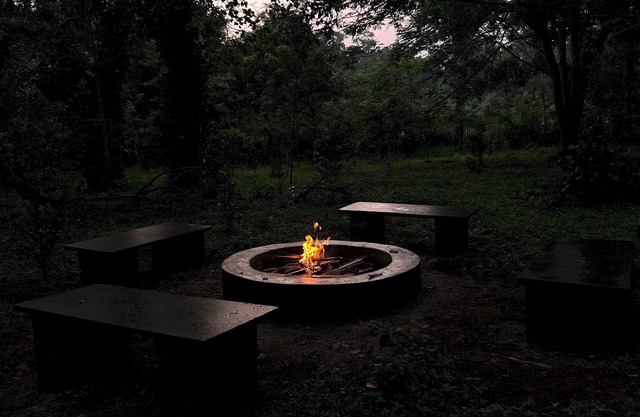 Nephila Farm | CB3 | Quiet | Remote | Nature Haven