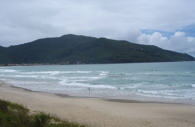 New apartment located in the Preserved Beach Florianópolis