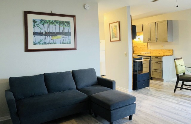 New, beautifully remodeled and tastefully furnished downtown Hilo apt