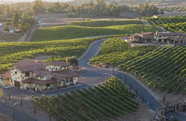 New-Build Temecula Villa with King Suite, Fireplace & Vineyard Views | The Villa