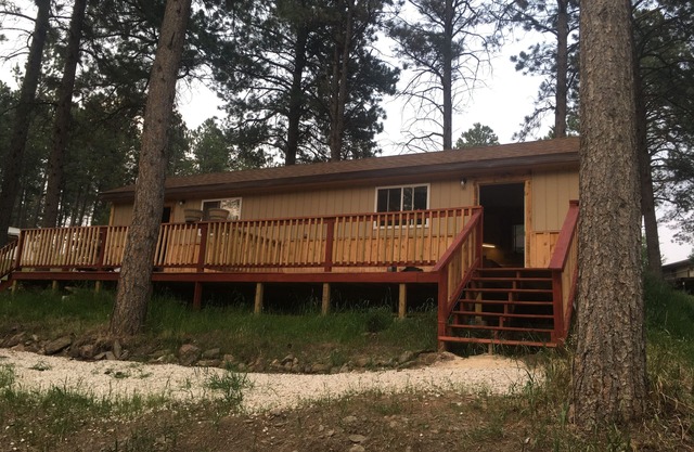 New Cozy cabin 2, with WiFi in beautiful Custer! Rental car available.