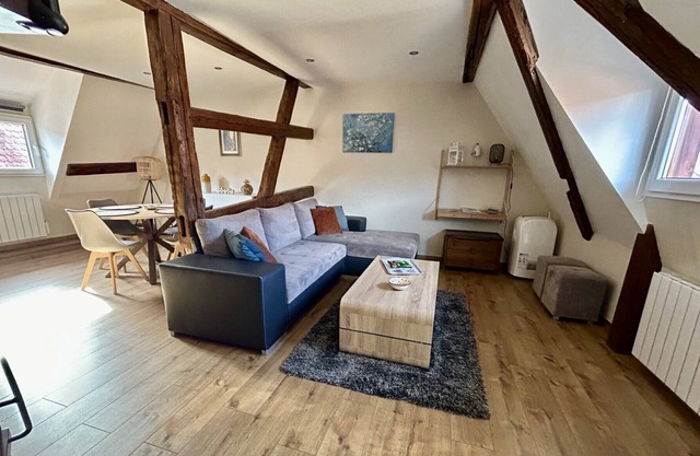 New ! Les Toits du Rempart *** in the heart of Eguisheim