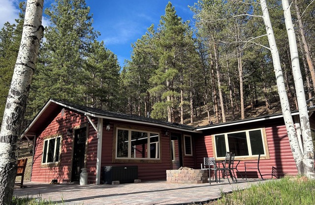 New! Fully updated mountain cabin getaway! 1 hr from DIA! Gas firepit & Wifi
