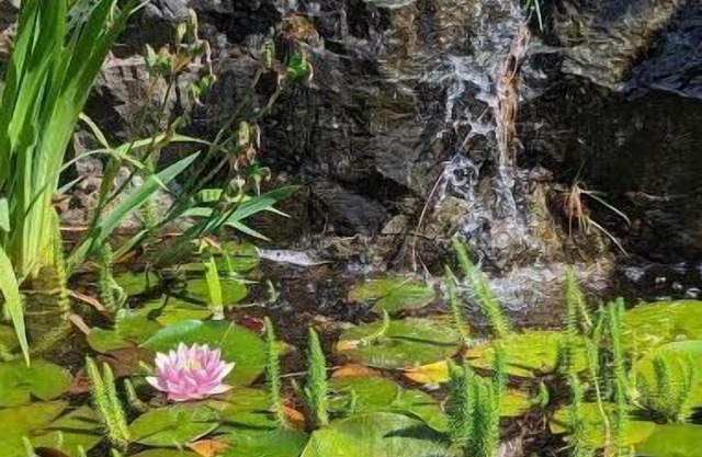 New on Vrbo - 5.0 stars Top 1% Airbnb - Private Garden Suite - Free car charger