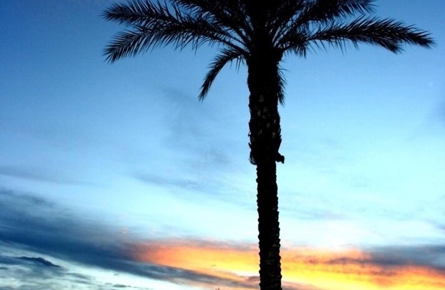 NUEVA apertura AHORA! 3 piscinas climatizadas Spa's GOLF Palms Mtns & Sunsets ... ¡Bienvenido!