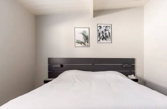 Newly Remodeled Modern Furnished SFH in Bay Area