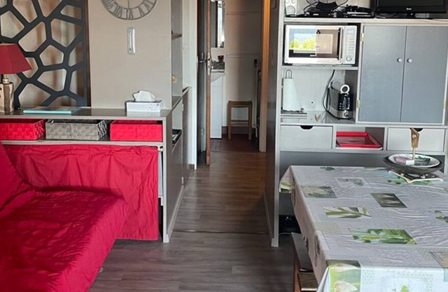 Nice duplex facing the Sancy