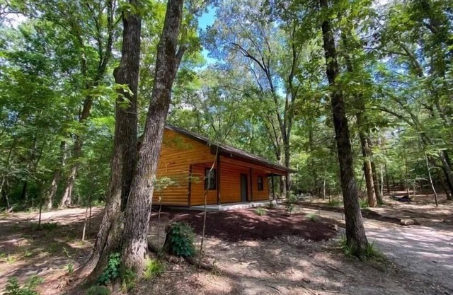 NORTHWOODS BASECAMP: Bike or Hike right from the Nighthawk Cabin!