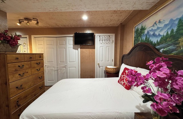 Spacious Quaint Central Studio