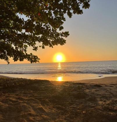 Oceanfront 5BR Oasis w Decks & Direct Beach Access