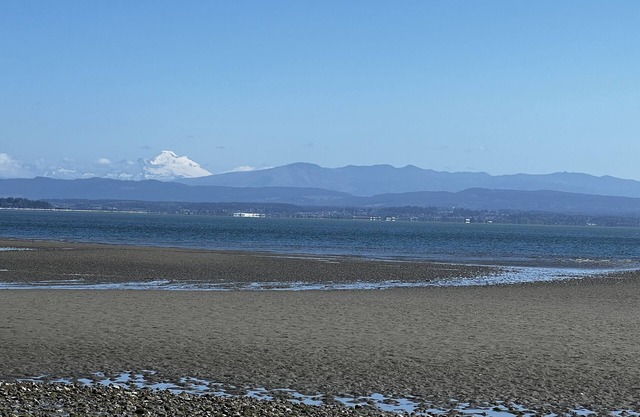 Oceanfront Beach House on Camano Island: Gone Coastal Beach House.