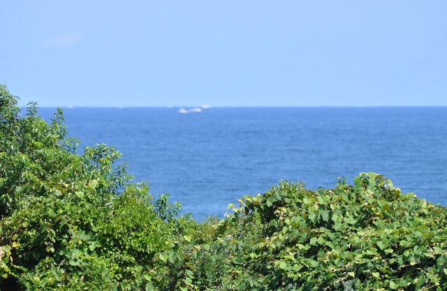 Doble Estanque frente al mar Estudio con playa Pasa de 2. 5 acres