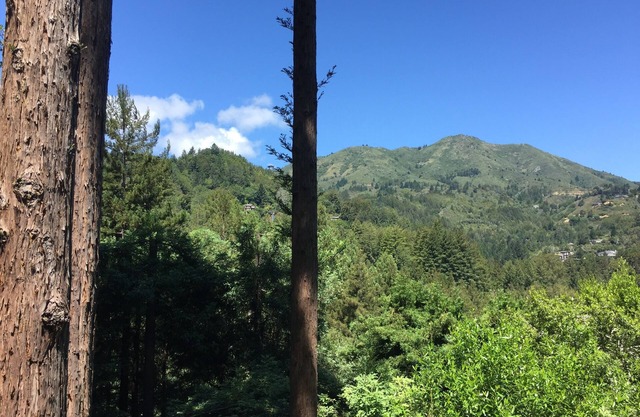 ¡Venta de verano! Hermosa privada Mill Valley Home w / impresionante vista y espacio para 10