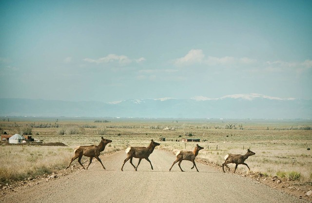 Off Grid at Baca Wildlife Refuge: Star Gazers Paradise