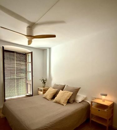 Old town Força nest