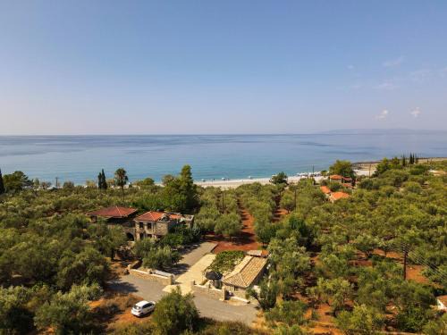 olive grove by the sea 30m from the beach