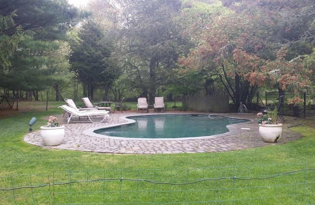 En el parque como entorno con estanque / lago