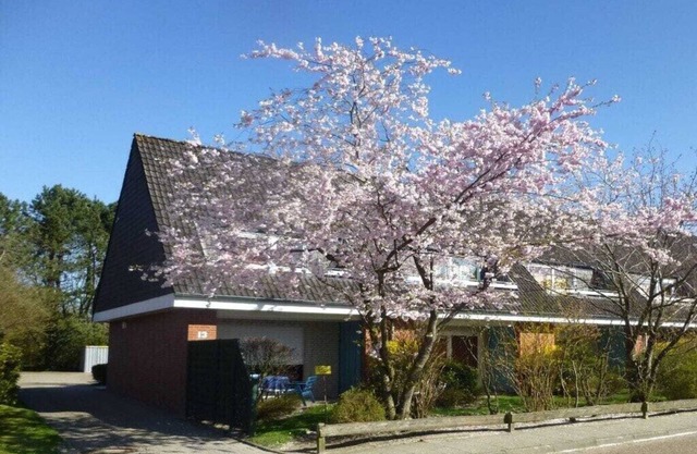 Apartamento de un dormitorio