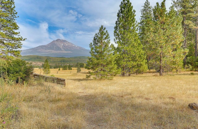 Outdoor Adventure Haven - 15 Mi to Mount Shasta!