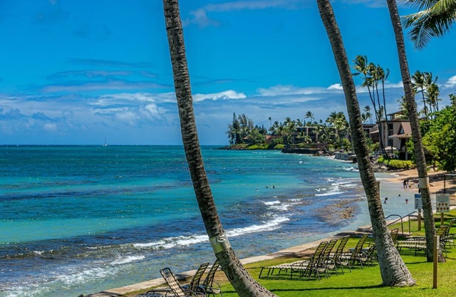 Paki Maui 103