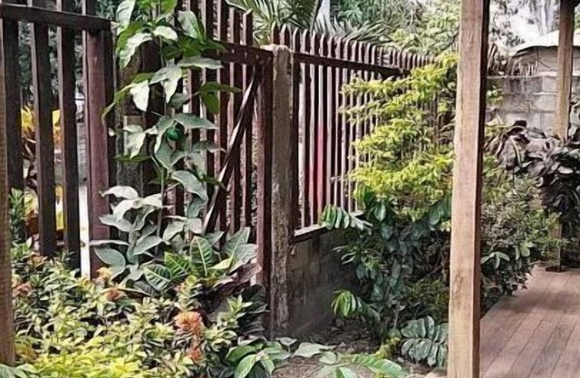 Cabaña Palomino Club