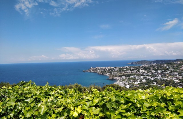 Villa Ficha Immmersa en Green tiene capacidad para 8 personas