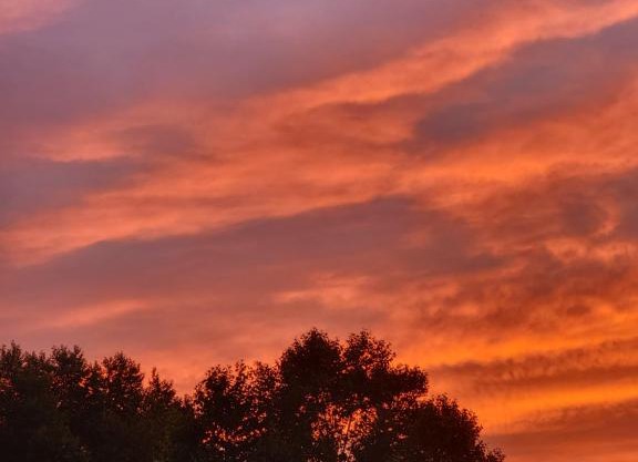 Paradise Bay Entire Home