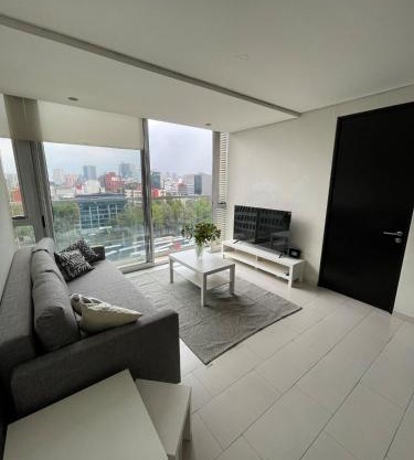 Parques Polanco, beautiful and excellent location one bedroom and a sofa bed