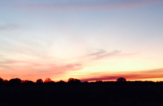 Peaceful Country Retreat minutes from High Springs