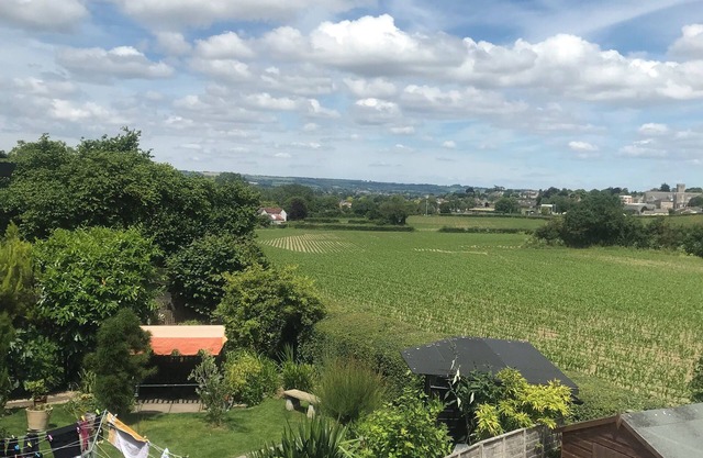 Peaceful location 5 minutes from Taunton town Centre