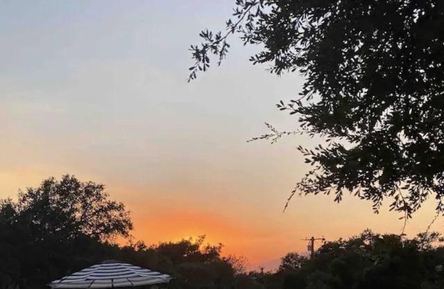 Peaceful mid-century family home with a pool