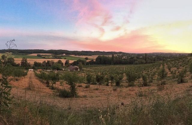 Tranquila casa móvil en el corazón de un bosque de nogales