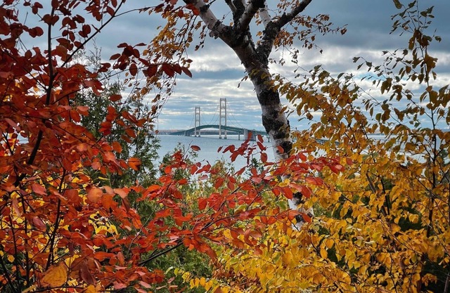 Peak fall color dates, Lots of space for Upper Peninsula getaway. Book Oct. now