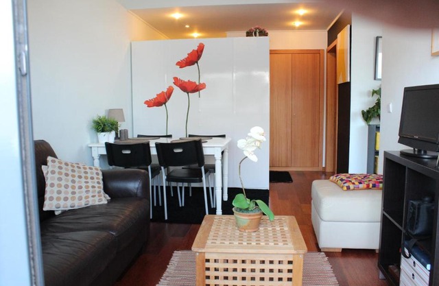 Penthouse City Center apartment