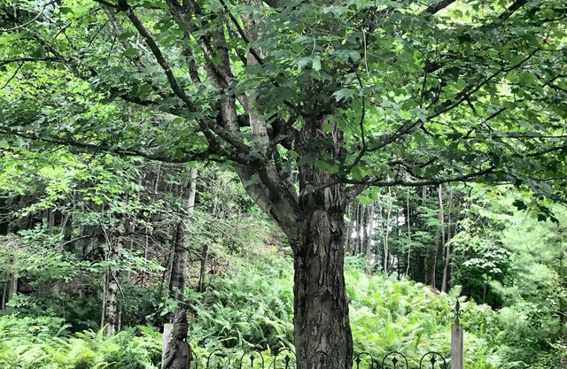 Perfect Summer Weekend Loft in the ❤️ of the Eastern Townships