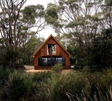 Periwinkle at Great Bay