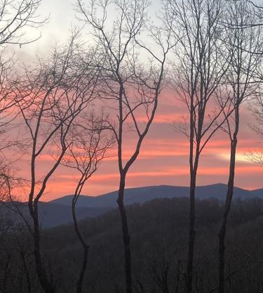 Pet Friendly Cabin-Fall Colors, Fireplace-Firepit-Stunning Views