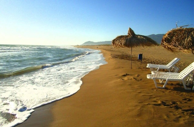 Petrino Serene Nest - Bright Getaway