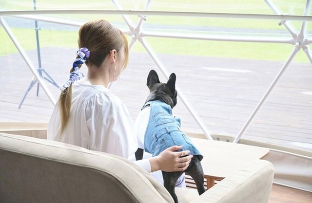 Pets allowed 7m dome tent A Accommodation onl / Sanbu District Chiba