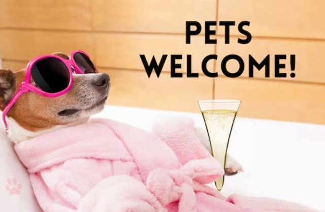 Pets Ok! Close to Pearl-Ft Sam-Riverwalk-Alamo