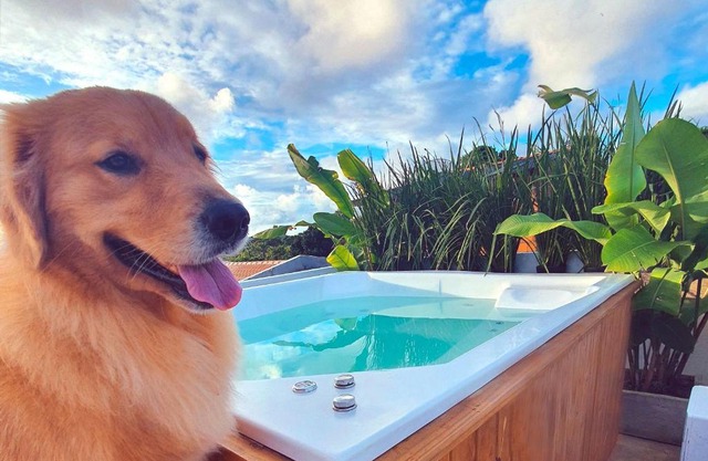 Piscina Aquecida, Jacuzzi, internet veloz, no centro de Serra Grande - Apt Laranja - Vila Pitangueira