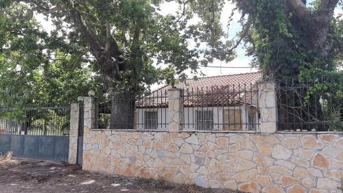 Plane Tree Cottage for Nature Lovers- Free RV & Campervan Parking