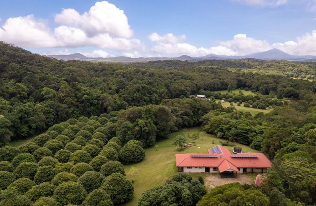 Platypus Mountain Retreat - secluded rainforest escape